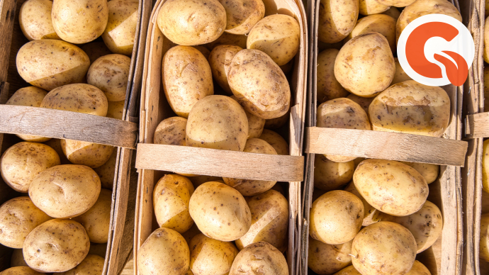 Картофель после варки синеет, не вредно-ли это для здоровья?