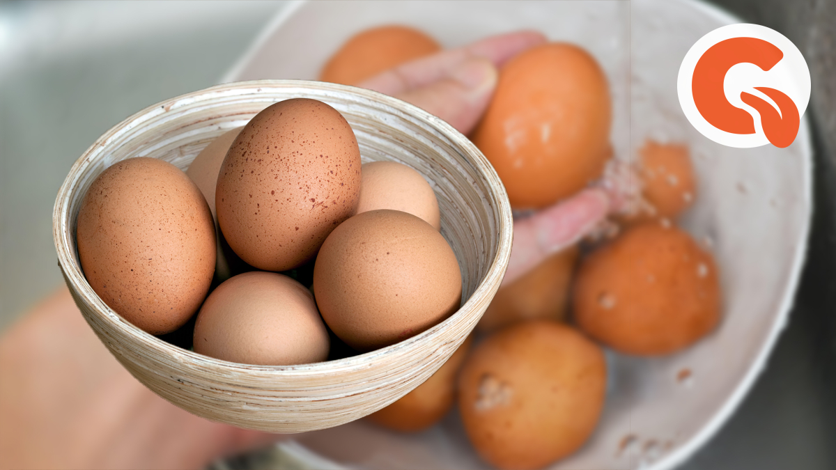 Мытые яйца можно хранить. Мытые яйца. Нужно ли мыть куриные яйца перед готовкой. Нужно ли мыть яйца перед готовкой.