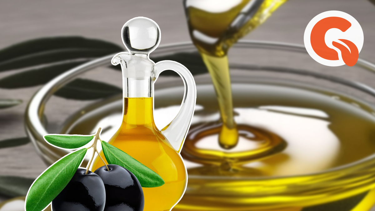 Цвет оливкового масла. Лучшее оливковое масло в Греции. Запах оливкового масла